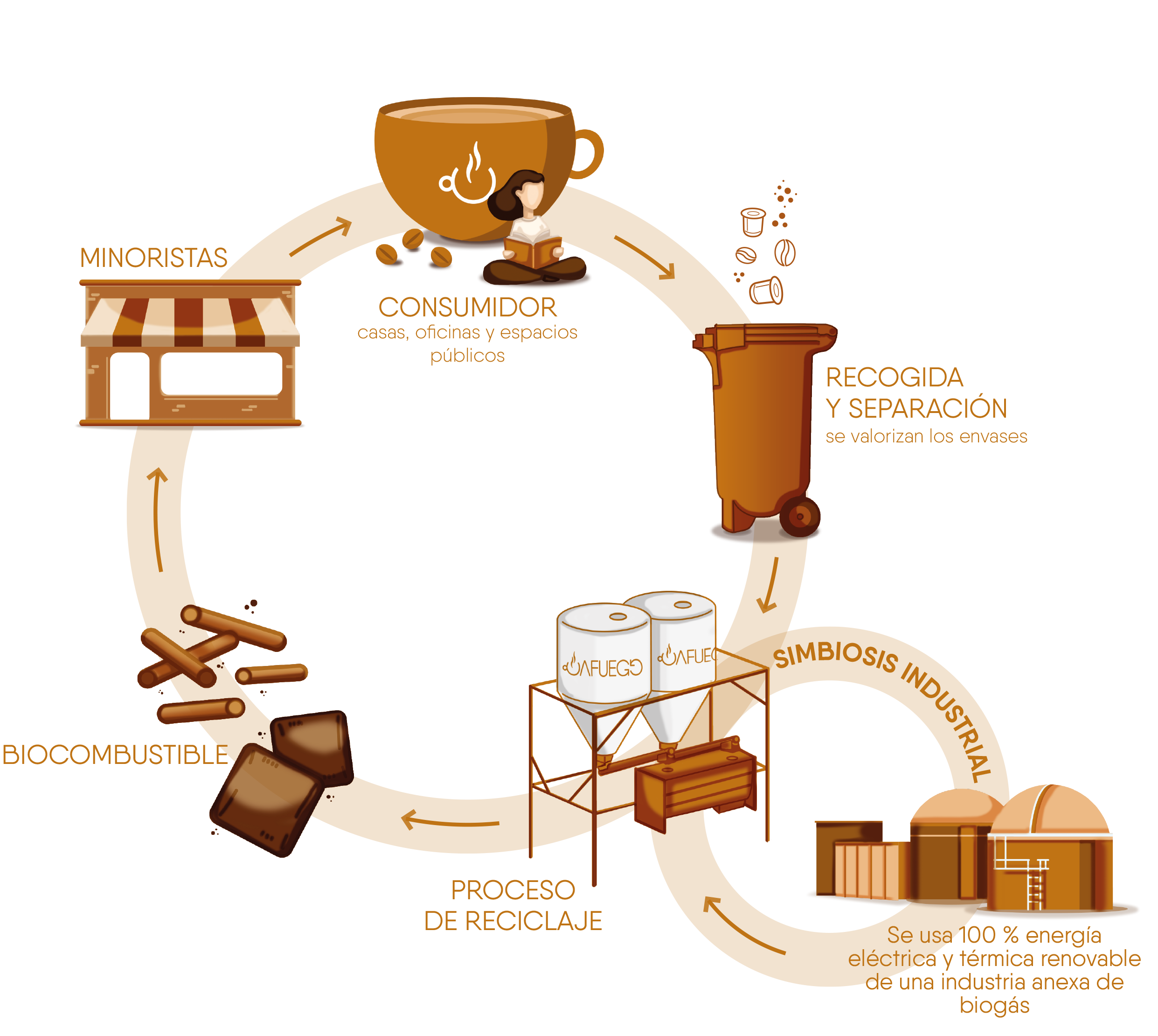 esquema que explica la economía circular de Cafuego