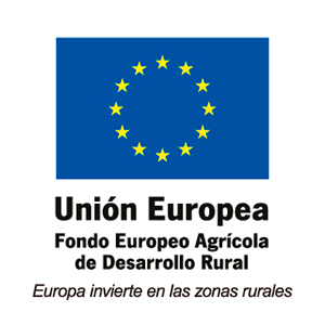 logotipo de la Union Europea